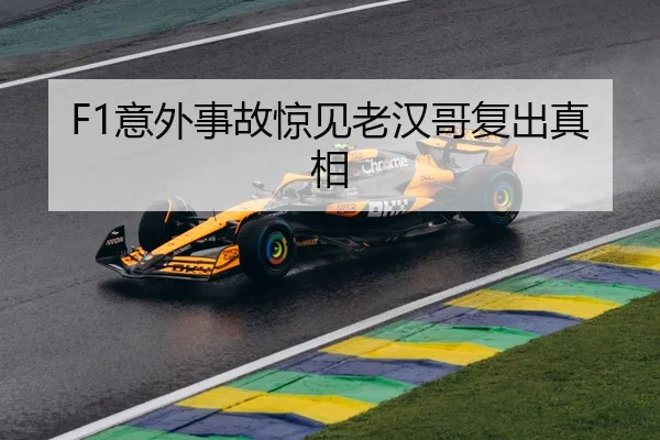F1意外事故惊见老汉哥复出真相